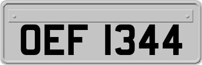 OEF1344