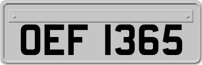 OEF1365