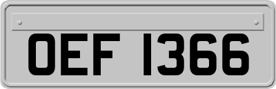 OEF1366