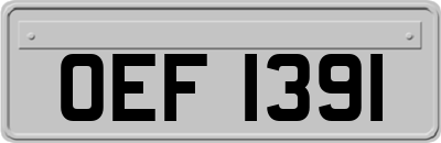 OEF1391