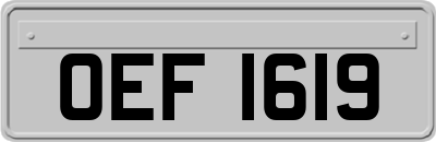 OEF1619
