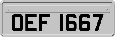OEF1667