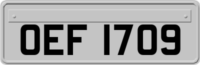 OEF1709