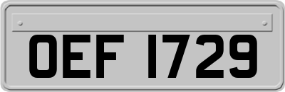 OEF1729
