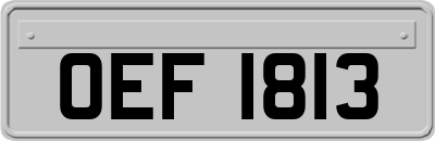 OEF1813