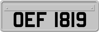 OEF1819