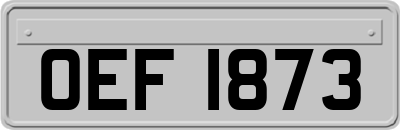 OEF1873