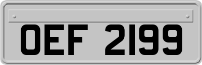 OEF2199
