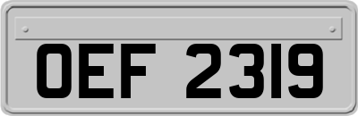 OEF2319