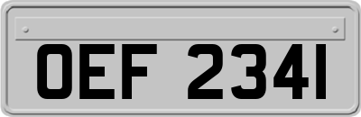 OEF2341