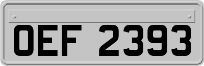OEF2393