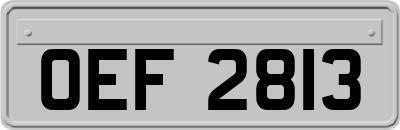 OEF2813