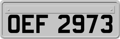 OEF2973