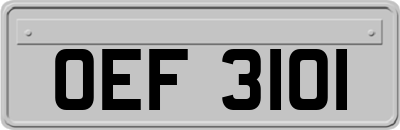 OEF3101