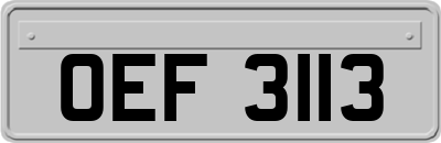 OEF3113