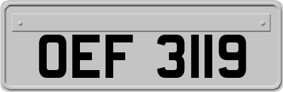OEF3119