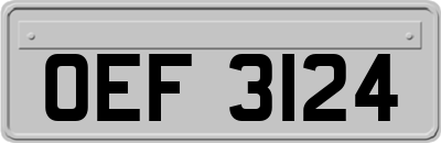 OEF3124