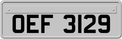 OEF3129