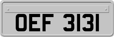 OEF3131
