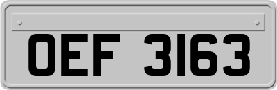 OEF3163