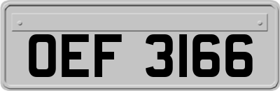 OEF3166