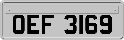 OEF3169
