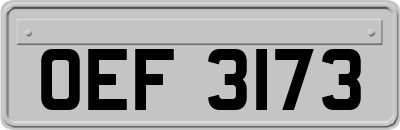 OEF3173