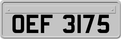 OEF3175