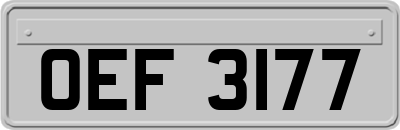 OEF3177