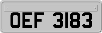 OEF3183