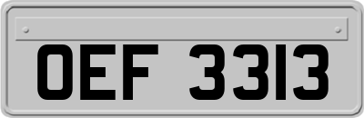 OEF3313