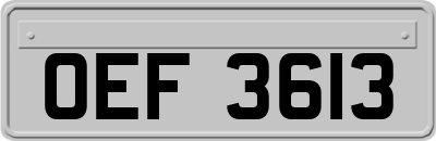 OEF3613