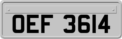 OEF3614