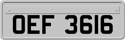 OEF3616