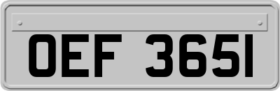 OEF3651