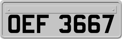 OEF3667