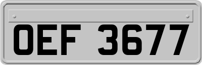 OEF3677
