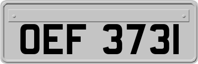 OEF3731