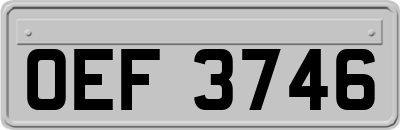 OEF3746