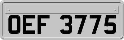 OEF3775