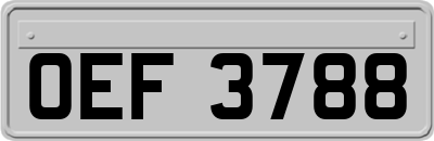 OEF3788