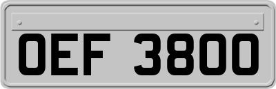 OEF3800