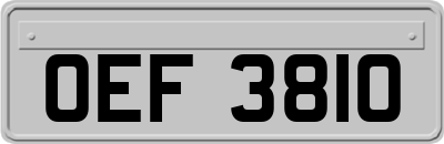 OEF3810