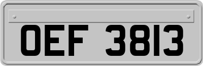 OEF3813