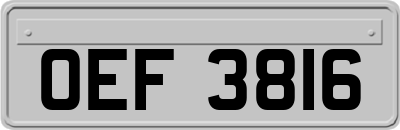 OEF3816
