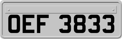 OEF3833