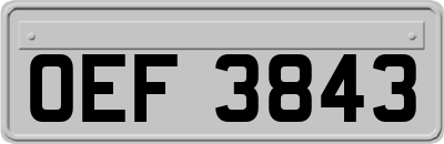 OEF3843