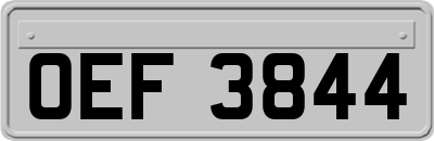OEF3844