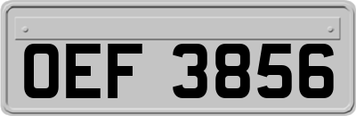OEF3856