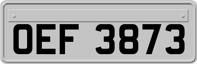 OEF3873